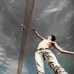 Theeggball "Classic" -Happy Motion Shop 107 8741 5