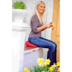 Sissel "Sitfit" Sitting Cushion 9 Sissel "Sitfit" Sitting Cushion -Happy Motion Shop 219 2505 2