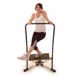 Gyroboard Handle -Happy Motion Shop 219 8705 3