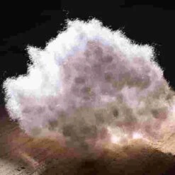 Majimo Cushion -Happy Motion Shop 270 8821 3