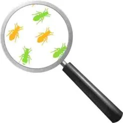 Beleduc "Illusion Wheel" Wall-Mounted Spinner 11 Beleduc "Illusion Wheel" Wall-Mounted Spinner -Happy Motion Shop 280 9609 1